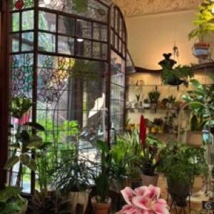 Barcelone en vrac, c'est plus pratique de mettre 20 photos par publication 😎.#barcelona #catalunya